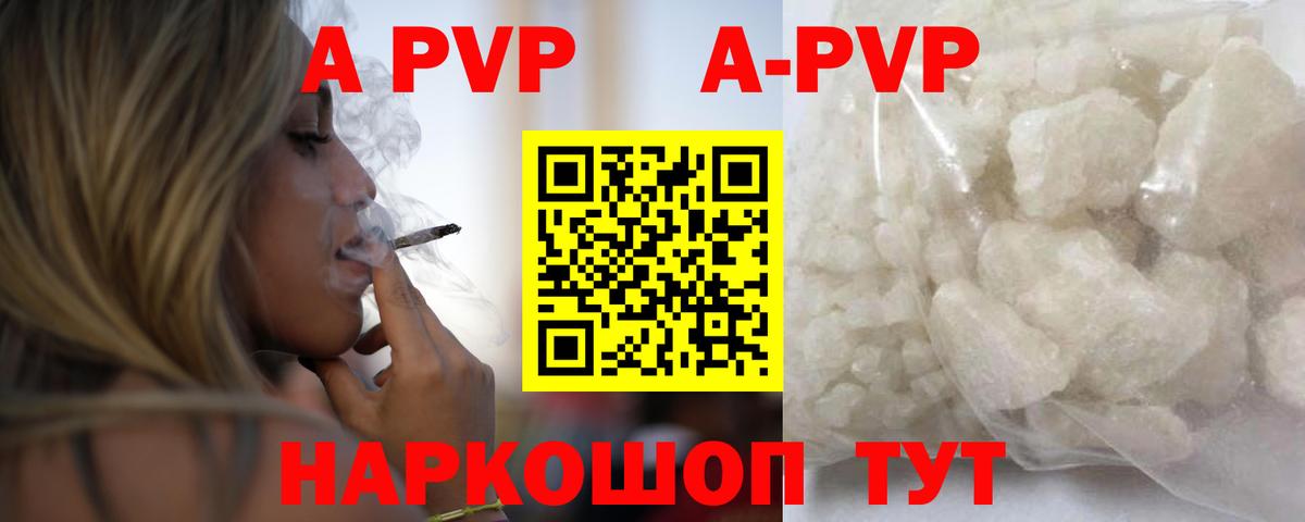 Альфа ПВП СК КРИС Киров